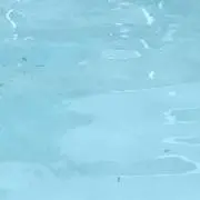 tの画像