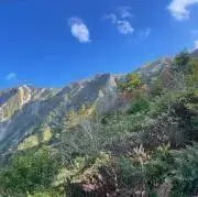 ベクターの画像