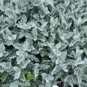 k.12.20の画像