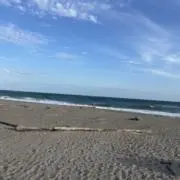 ururuの画像