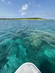 かなやんの画像