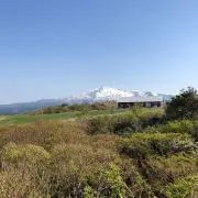 まりりんの画像