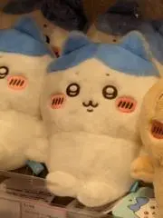 ちゃーみの画像
