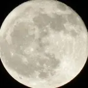ㄷㄹ（プロフ）の画像