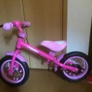 ひめちゃんの画像