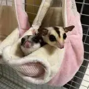 ゆん