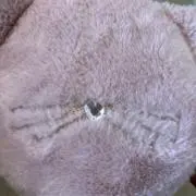 フローレンの画像