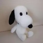 a-yanの画像