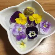 花＊花☆プロフ必読後にご購入下さいの画像