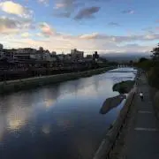 グリーンピースとホッキ貝