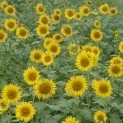 ひろみの画像