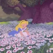 なーちゃん