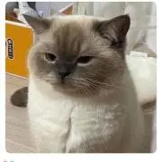 りぉ（プロフ必読）の画像