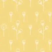 moymの画像