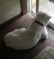 みきちゃんの画像