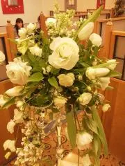 超希少】VIVIENNE TAM ヴィヴィアンタム ブルーフォックスコート 0