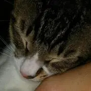みぃ断捨離中の画像