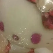 わんこ