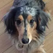 めぐ