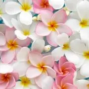 Mahina