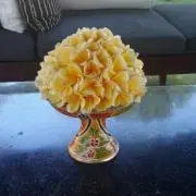 プルメリア