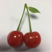 さくら(*ˊૢᵕˋૢ*)ˉ̞̭ෆの画像