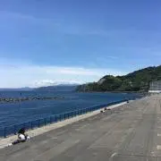 もふもふ