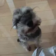 はる☆プロフィール見て購入して下さい