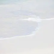 りゅうちん