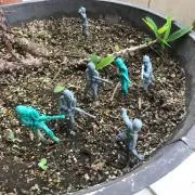 もえぴーの画像