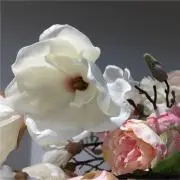 SAＹＡの画像
