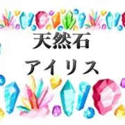 アイリス⭐️まとめ買4500円上以上でプの画像