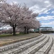 ばんびーの