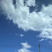 れいの画像