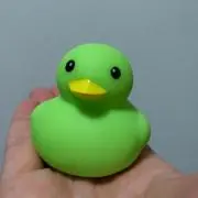 たまもちの画像
