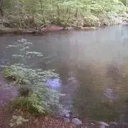 ぱとりっくの画像