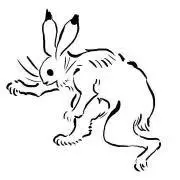 【要画像確認】のんまるの画像