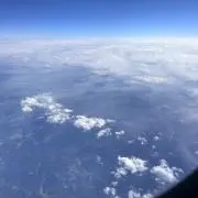 じょばんにの画像