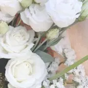 むんの画像