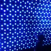 いちの画像