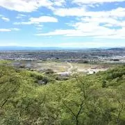 dodesuka denの画像