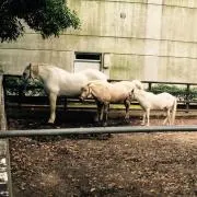 HappySunshineの画像