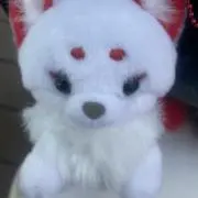 川合智樹の画像