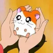 無着色