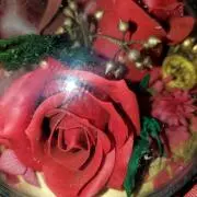 hena22の画像