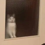 ナナの画像