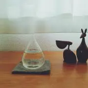HONOBONOの画像