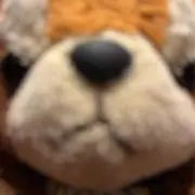 ぽてとの画像