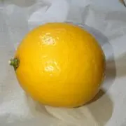 赤とんぼの画像
