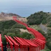 ☆ZRX☆